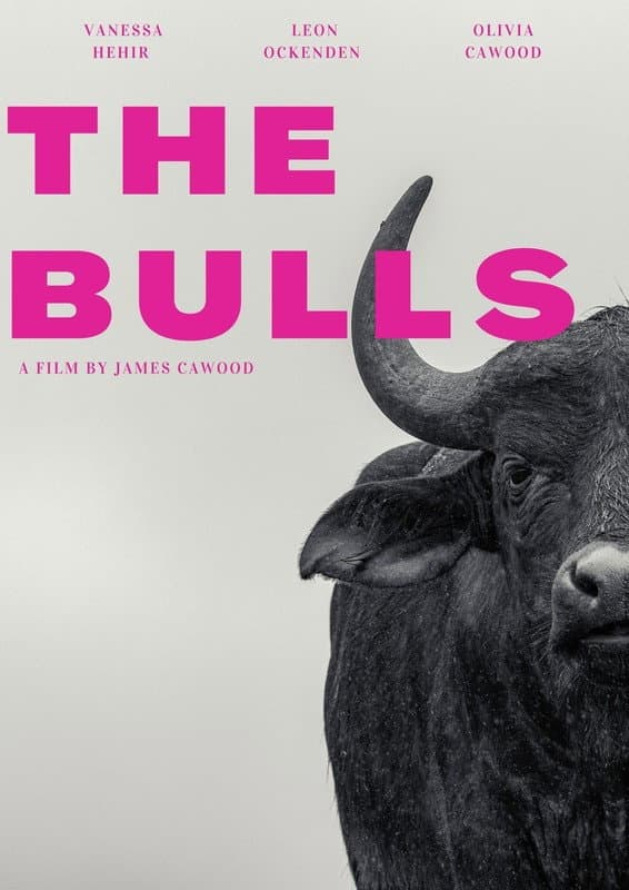 The Bulls backdrop