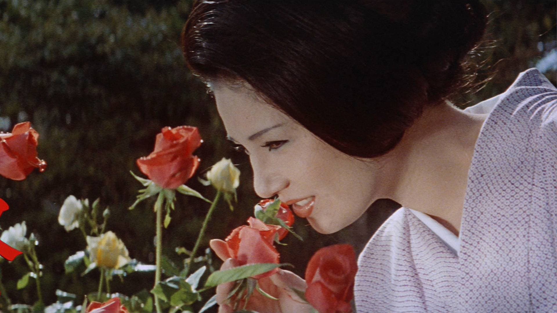 Flower & Snake backdrop