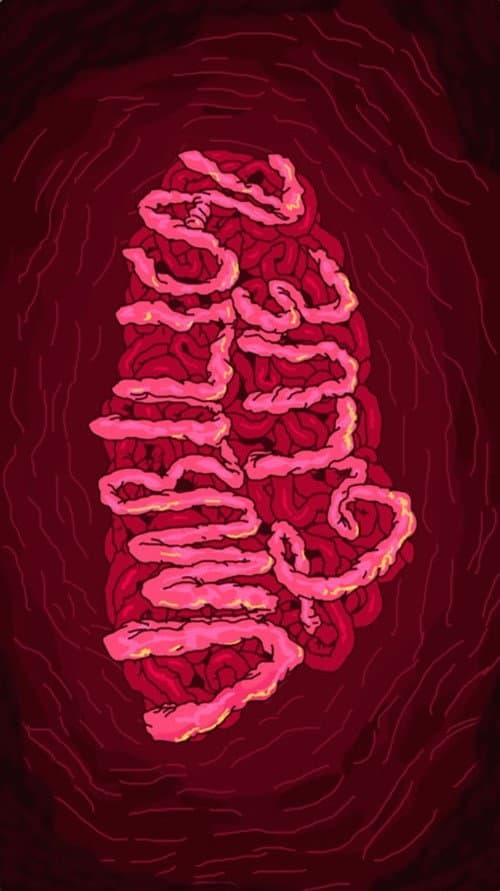 Umbilical Glue backdrop