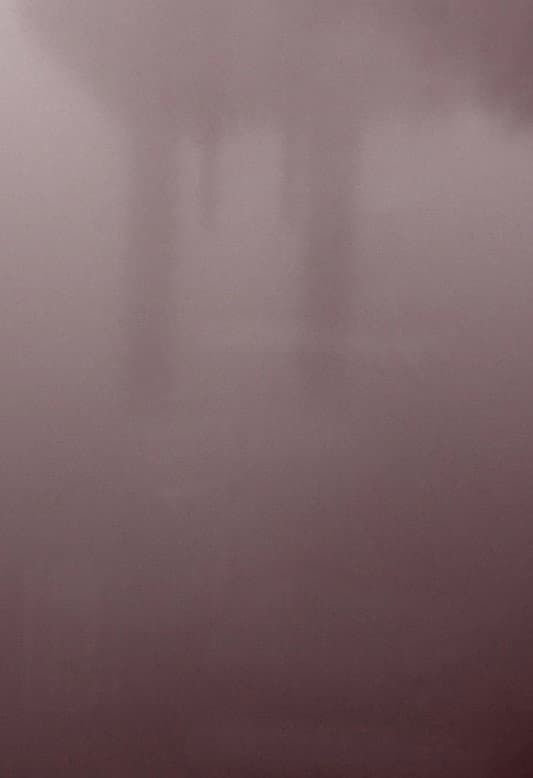 Presence Without Presence backdrop