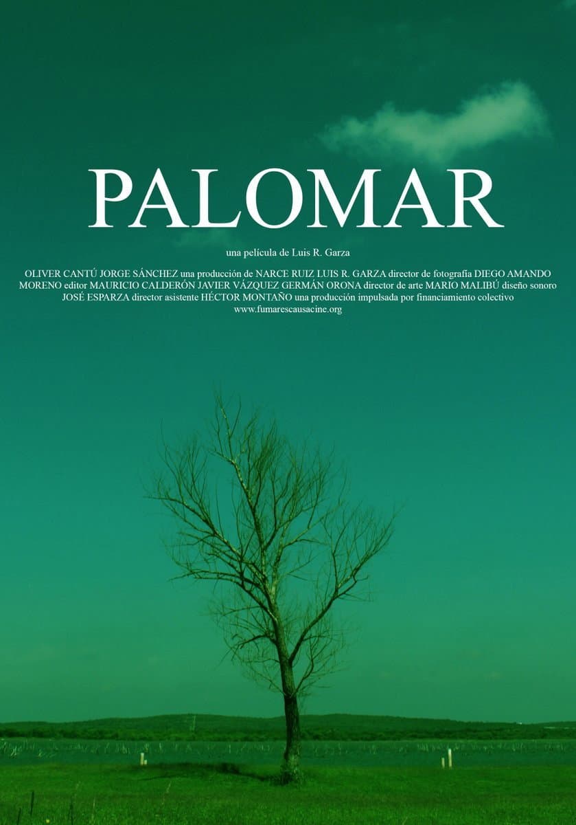Palomar backdrop