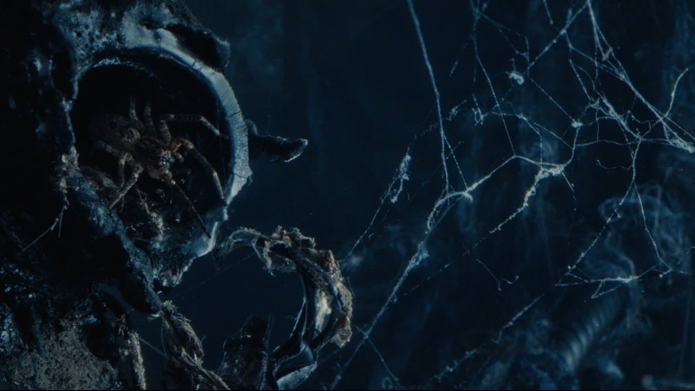 Atom & Void backdrop