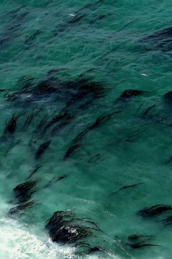 Visions of an Island backdrop