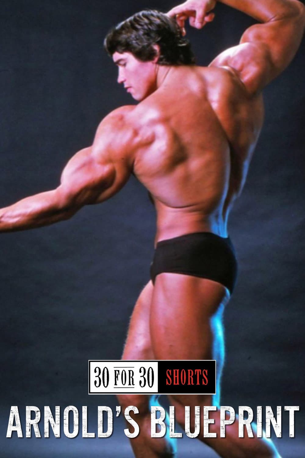 Arnold's Blueprint backdrop