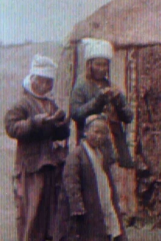 Sherriff Kodacolour No. 3 backdrop
