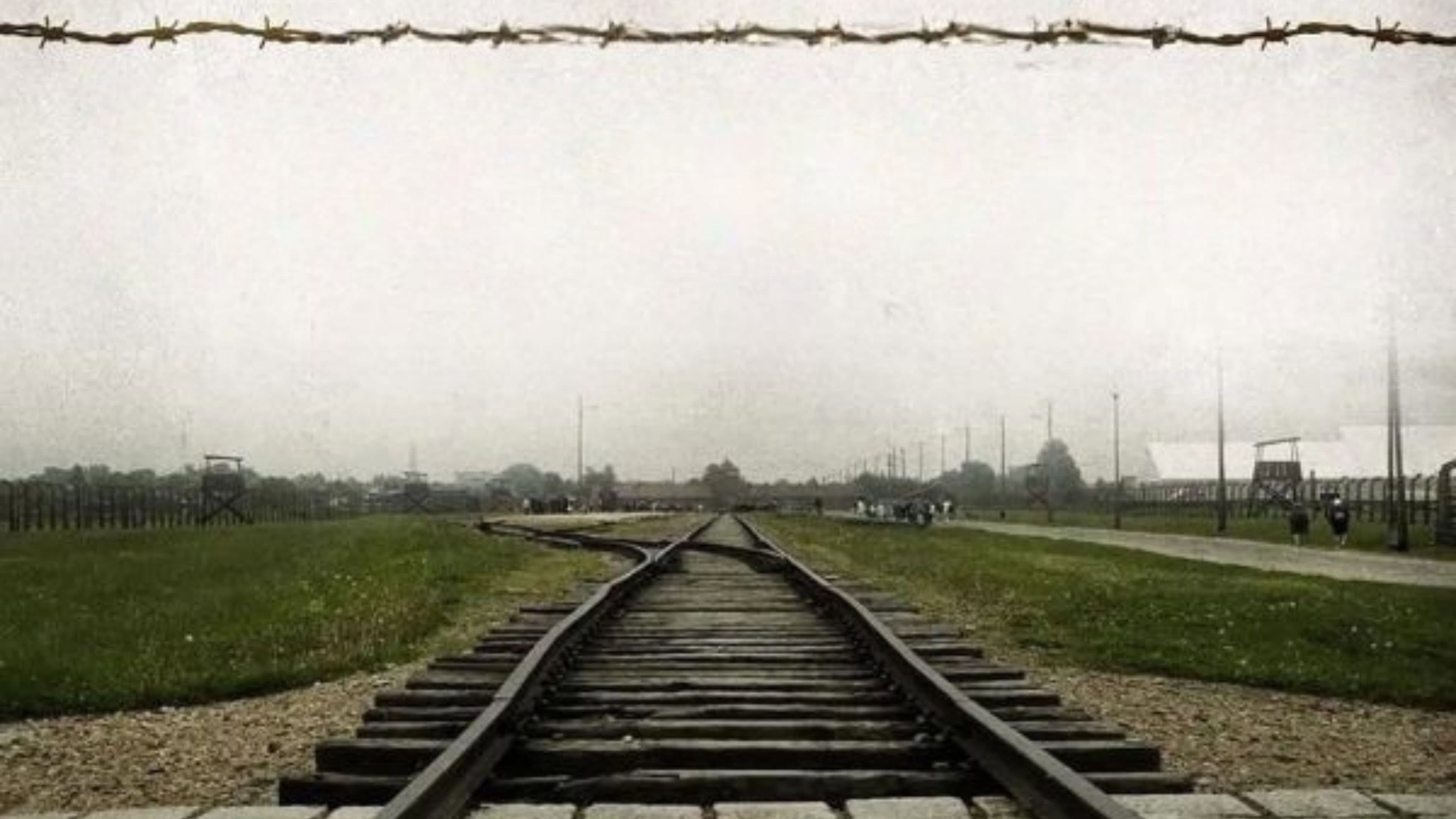 Beyond Freedom — The Life of Viktor Frankl backdrop