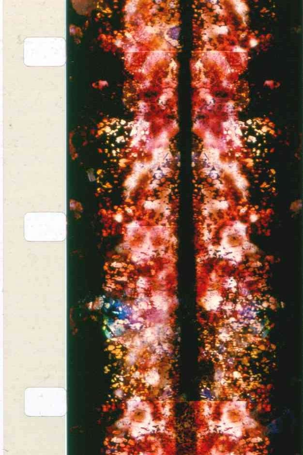 Chartres Series backdrop