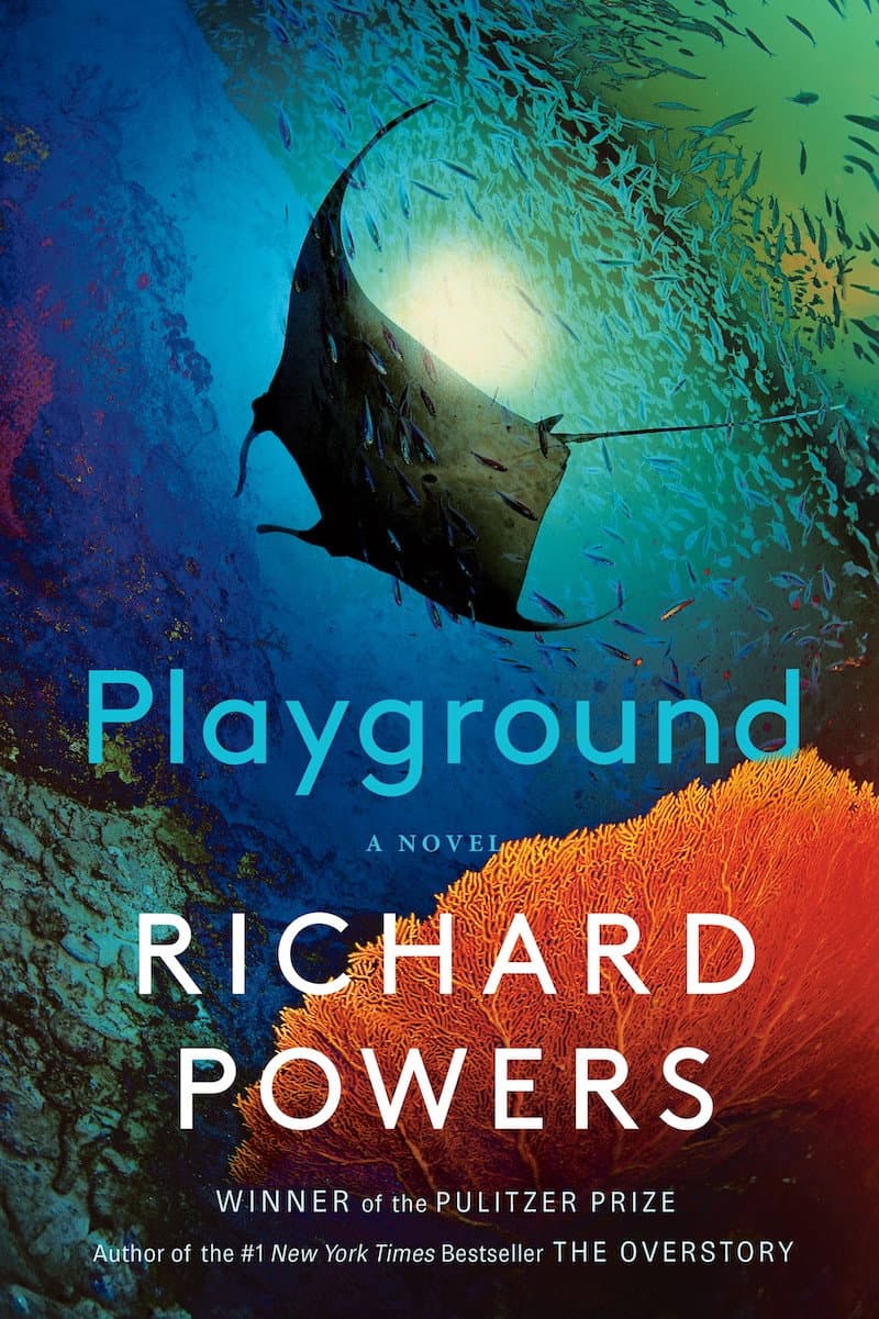 Playground backdrop