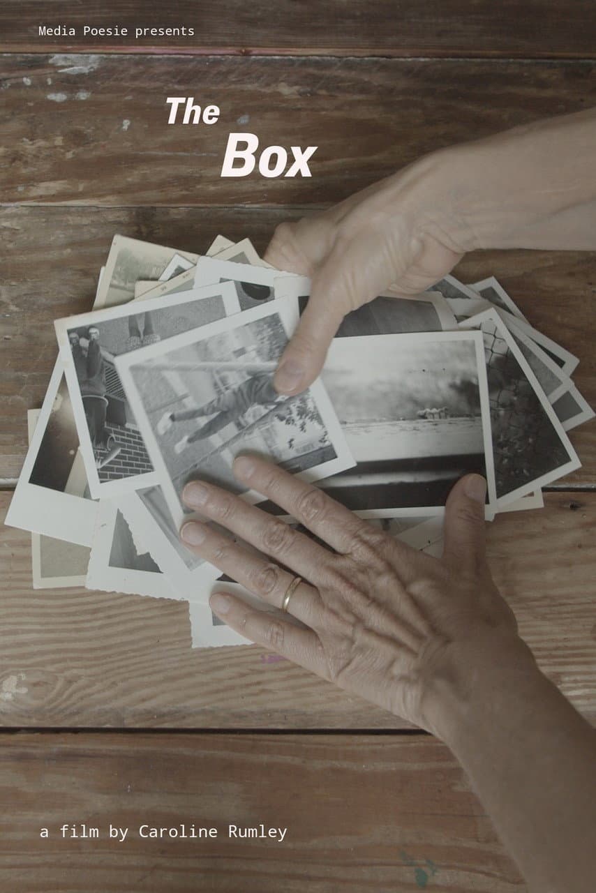 The Box backdrop