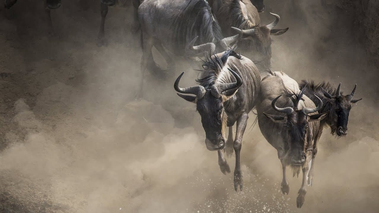 Exodus: The Great Migration backdrop