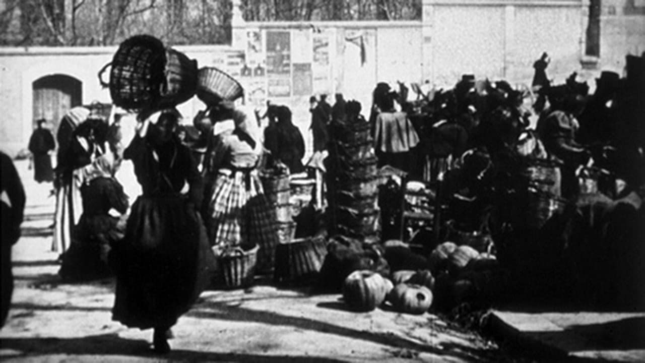 Marché backdrop