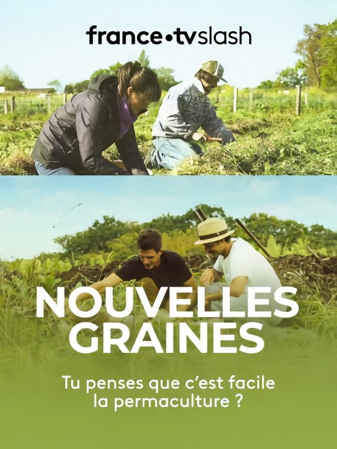 Nouvelles graines backdrop