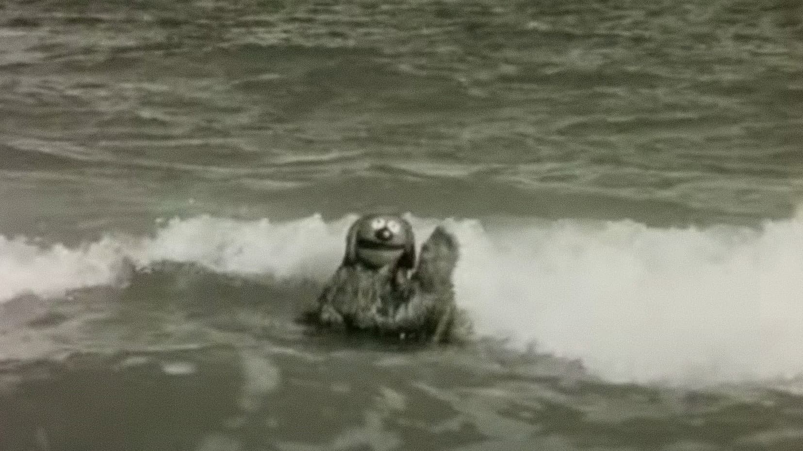 Rowlf the Salesman backdrop