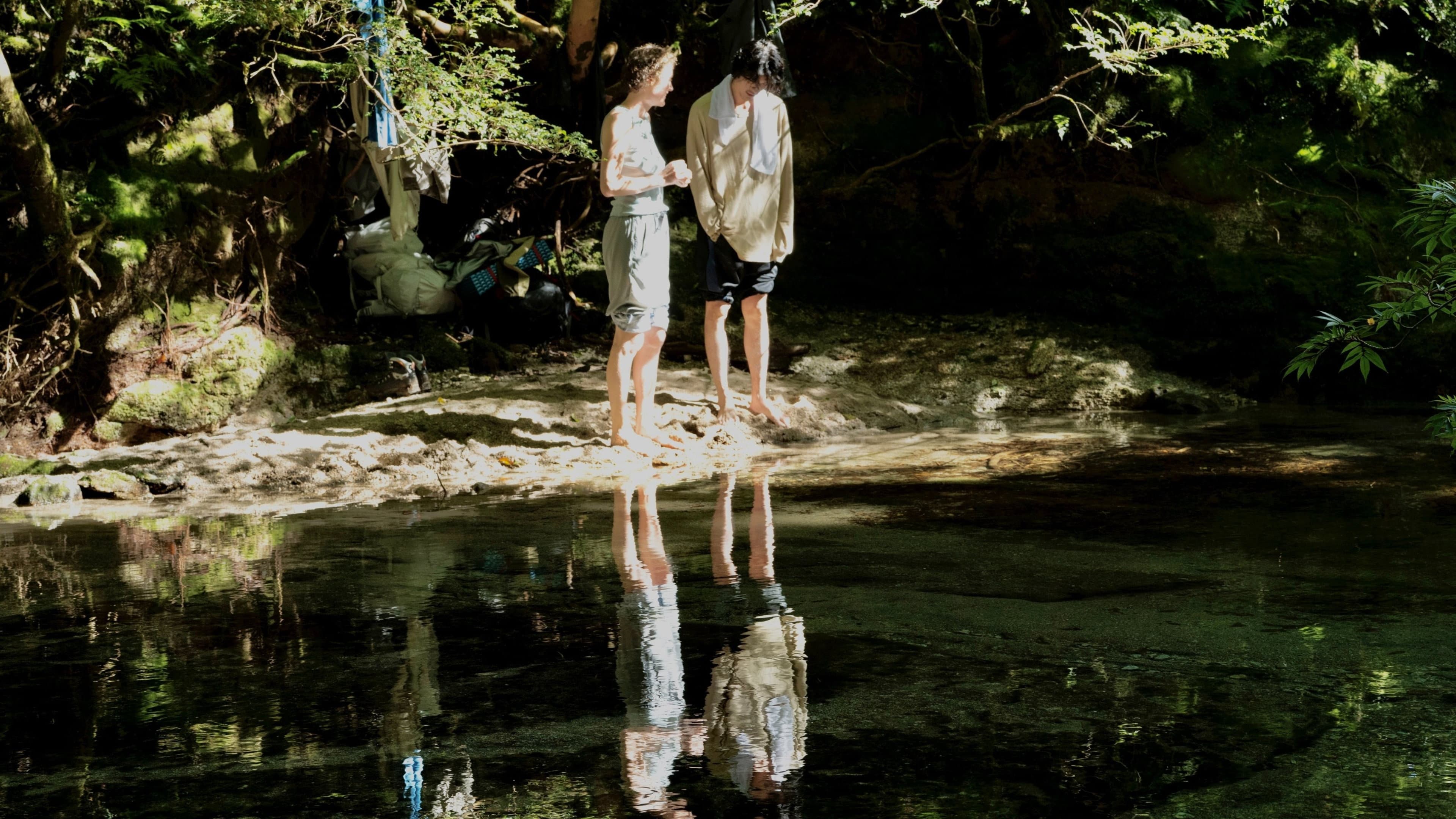 Yakushima's Illusion backdrop