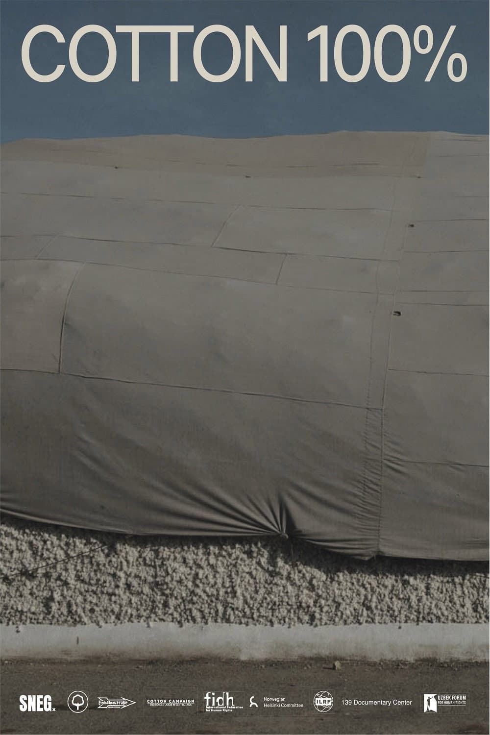 Cotton 100% backdrop