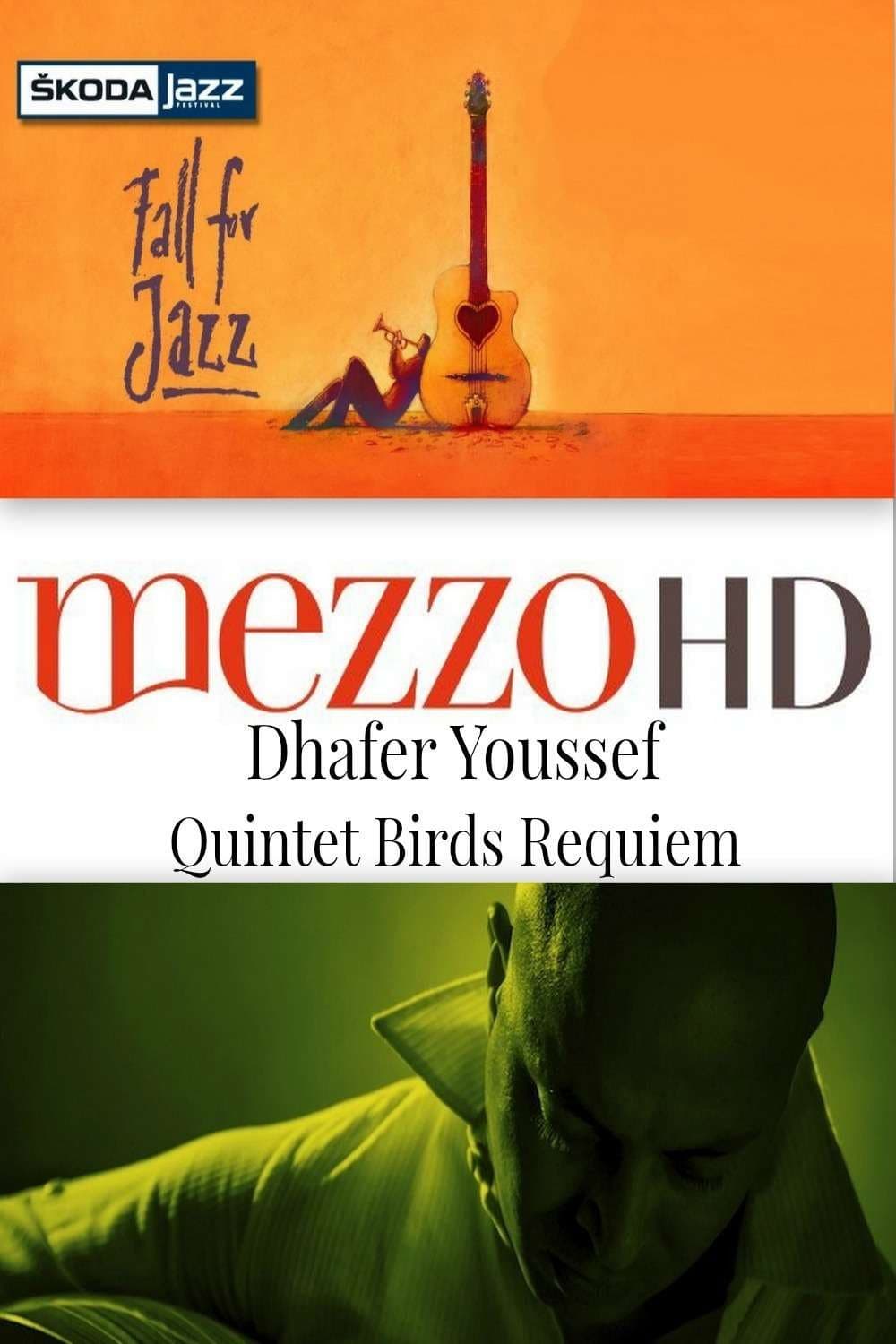 Dhafer Youssef Quintet: Birds Requiem - Live at Skoda Jazz Festival backdrop