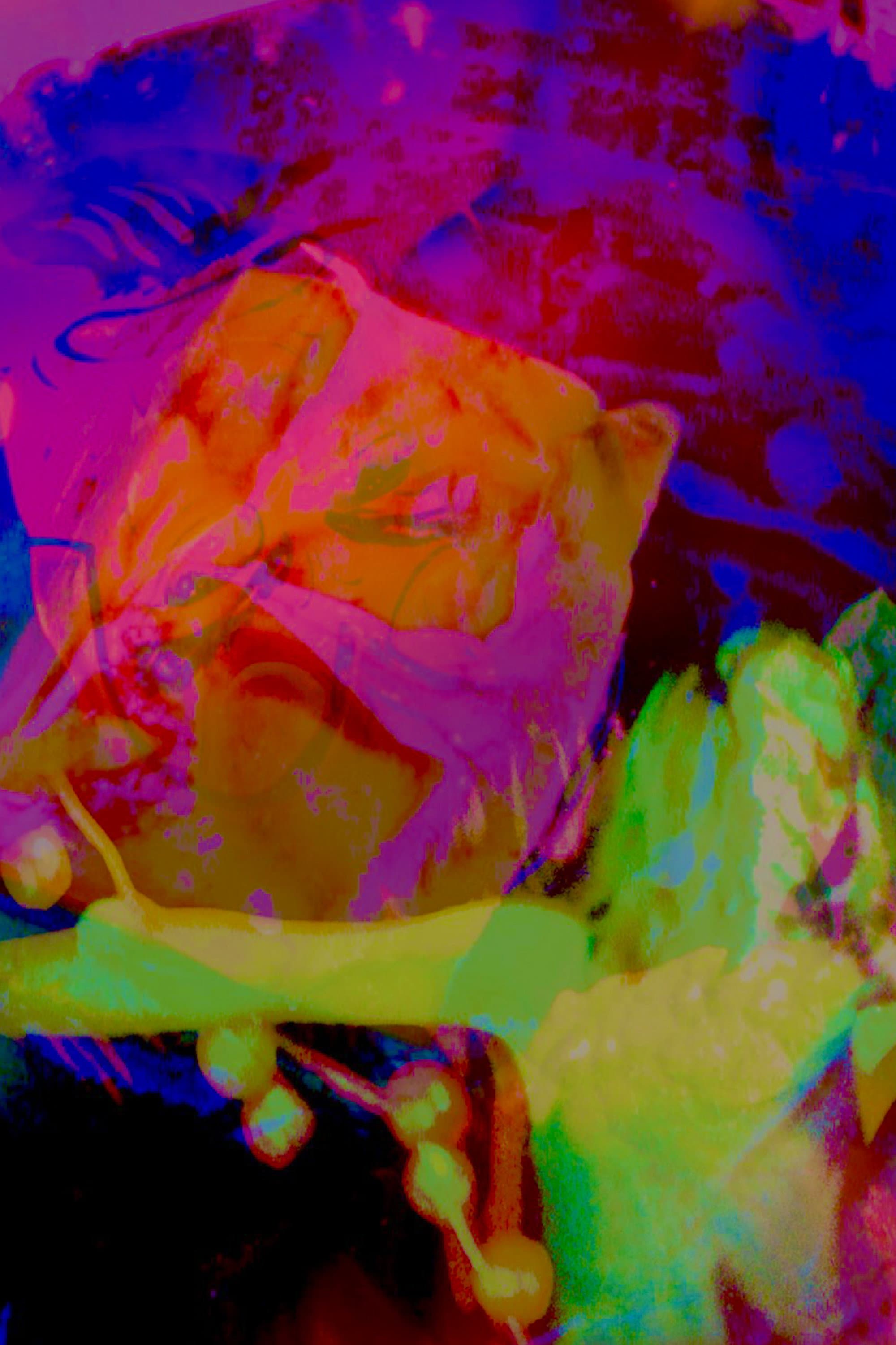 Hannah's Psycho-delic Adventure backdrop