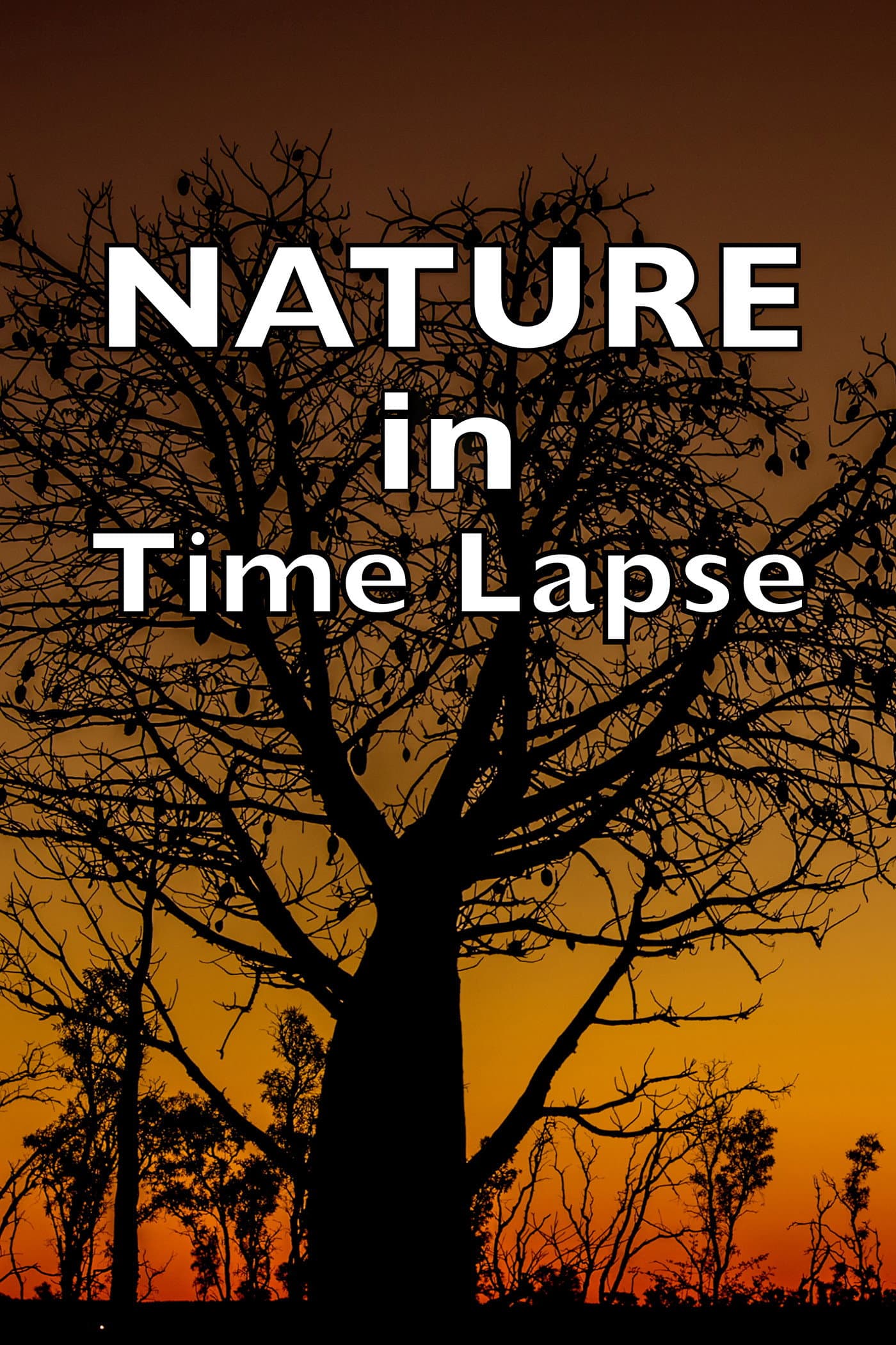 NATURE in Time Lapse backdrop