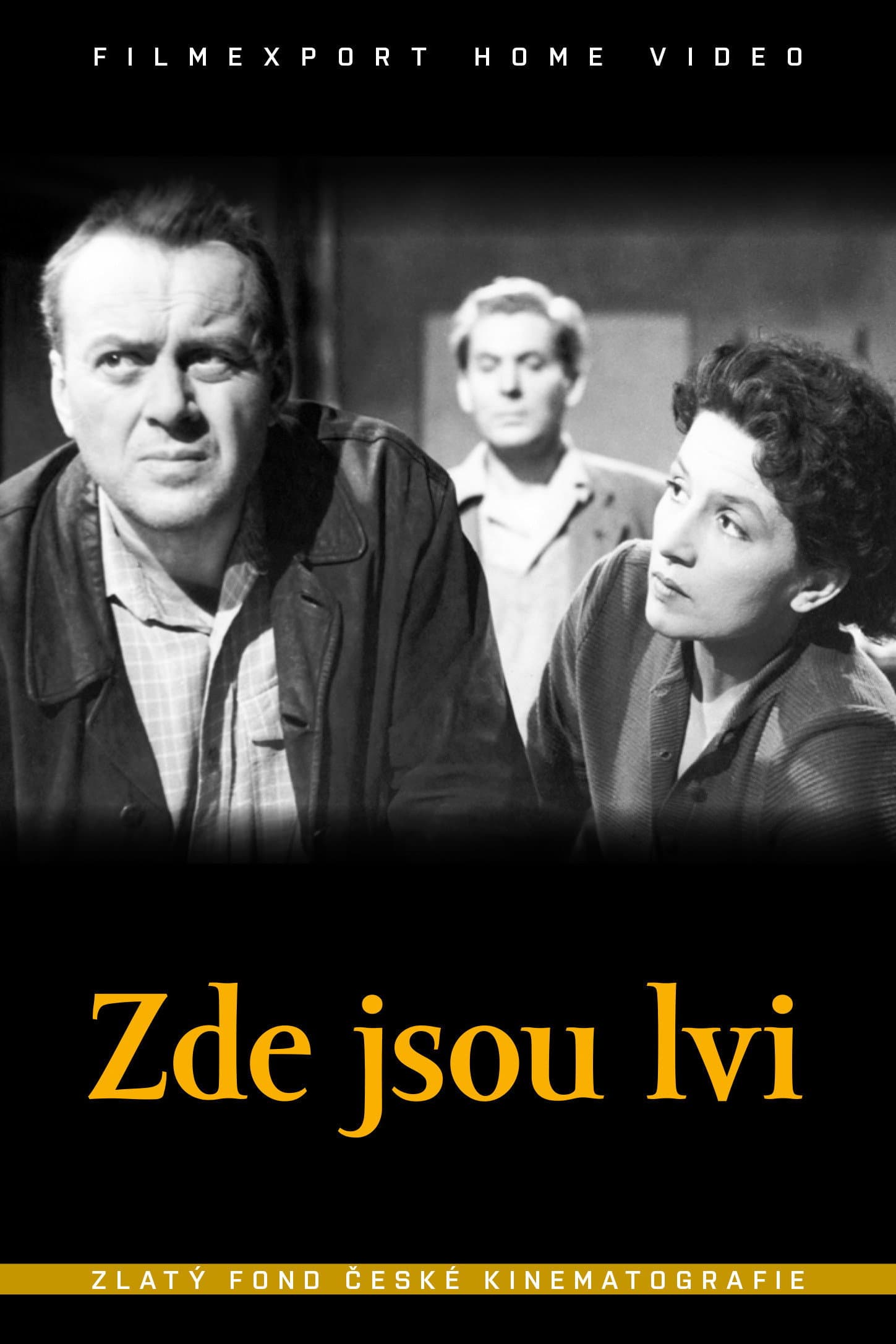 Zde jsou lvi backdrop