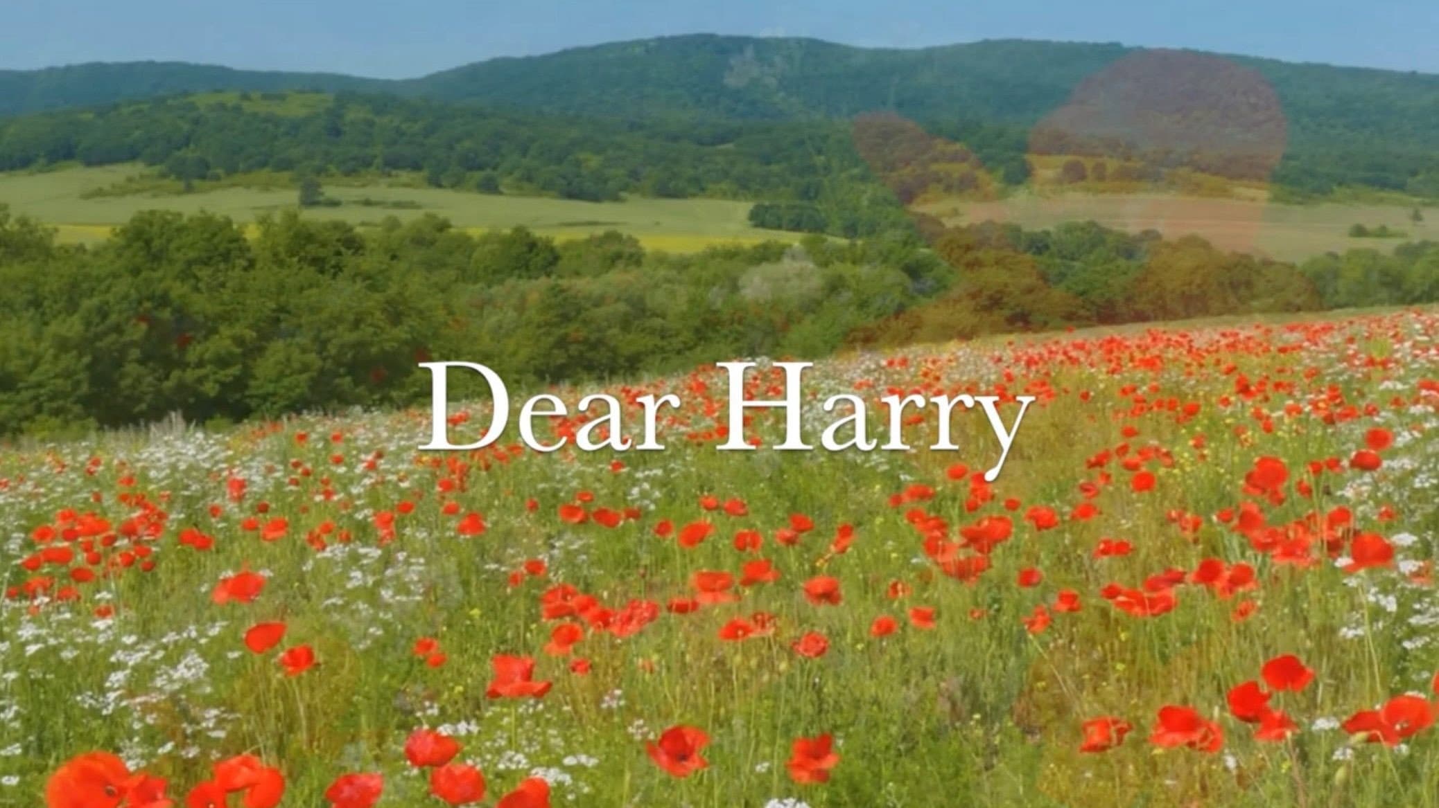 Dear Harry backdrop