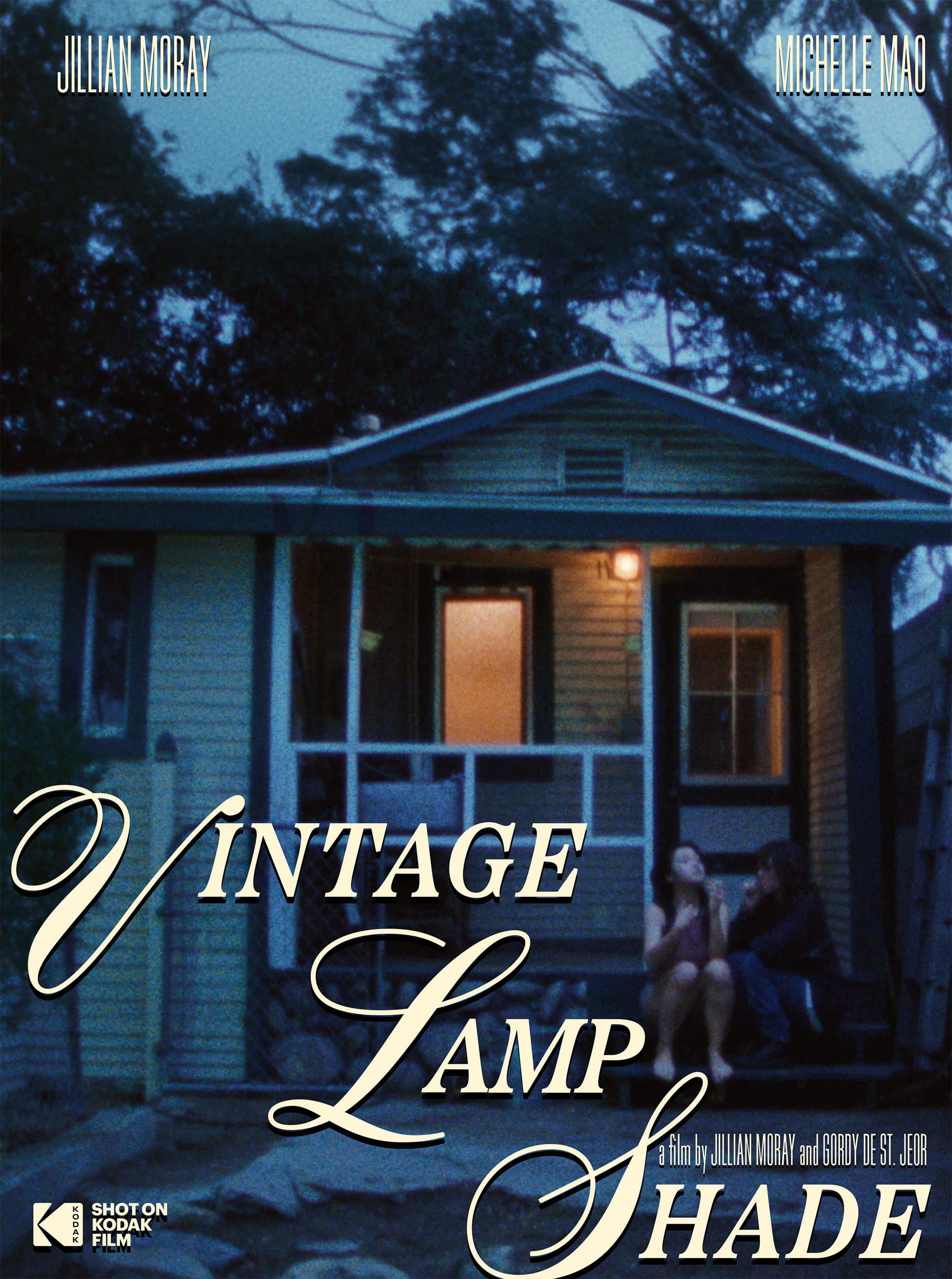 Vintage Lamp Shade backdrop