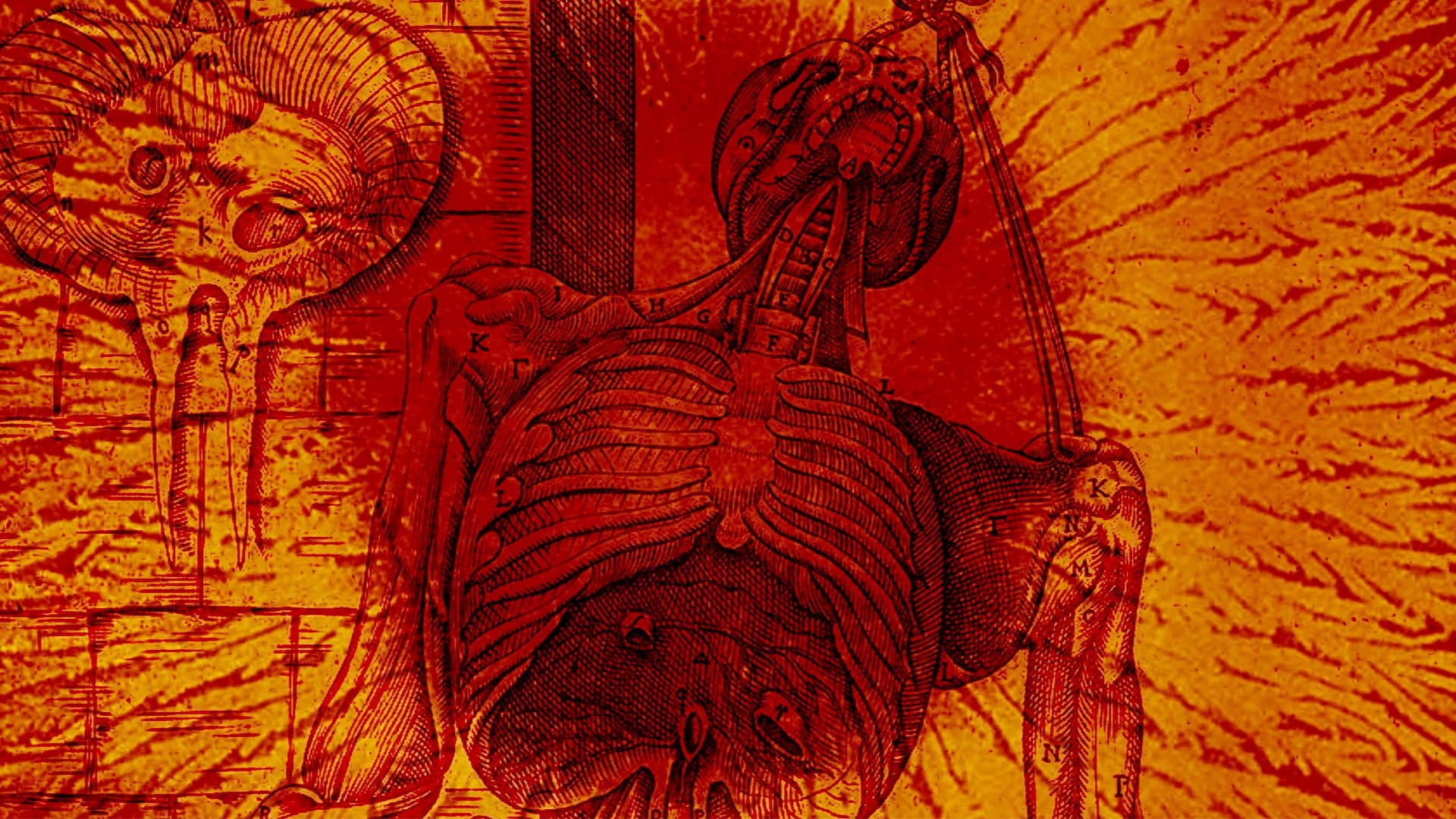 Gut Instinct backdrop