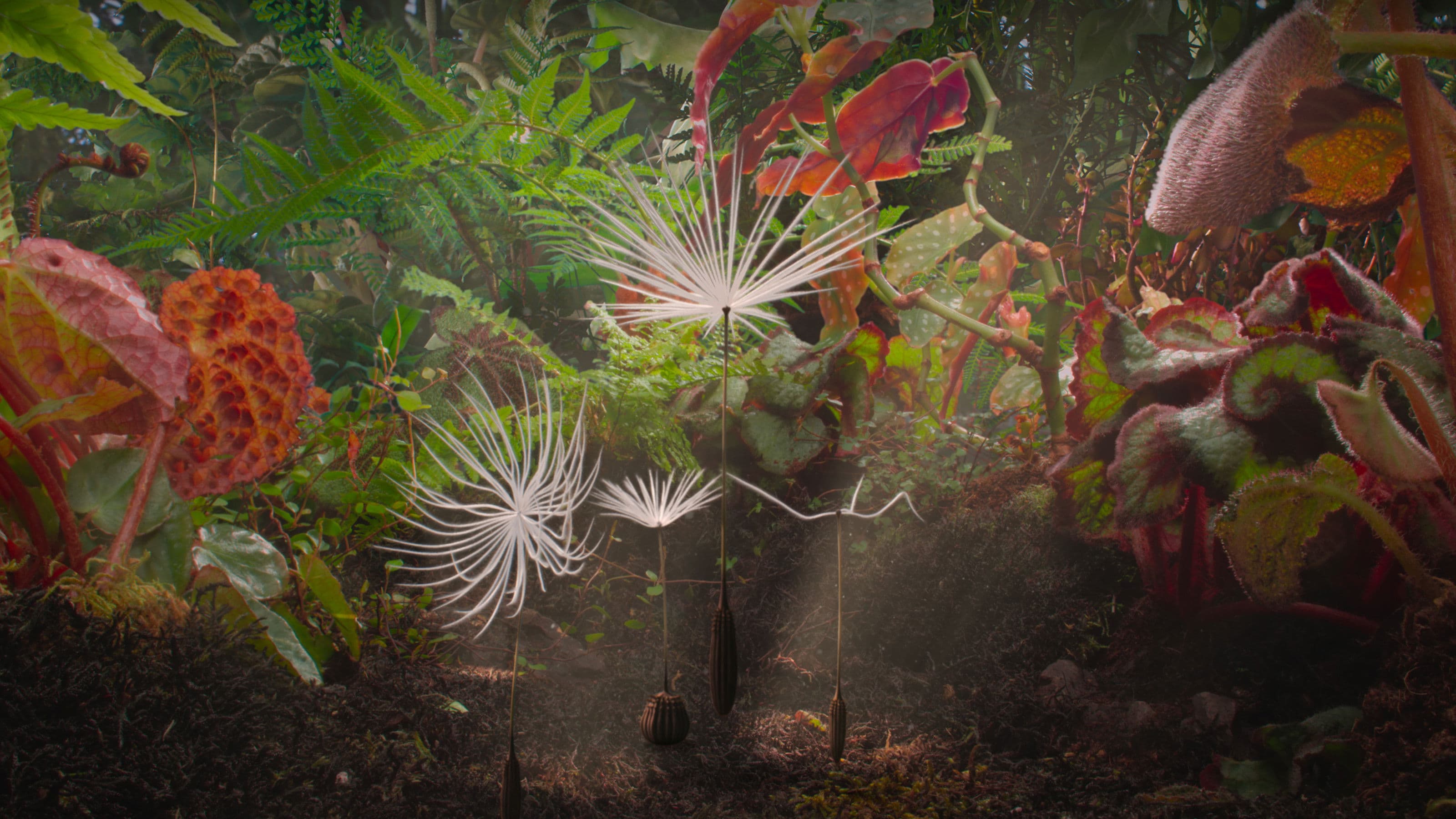 Dandelion's Odyssey backdrop