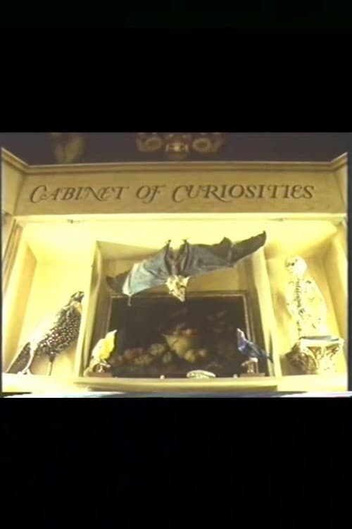 Cabinet of Curiosities backdrop
