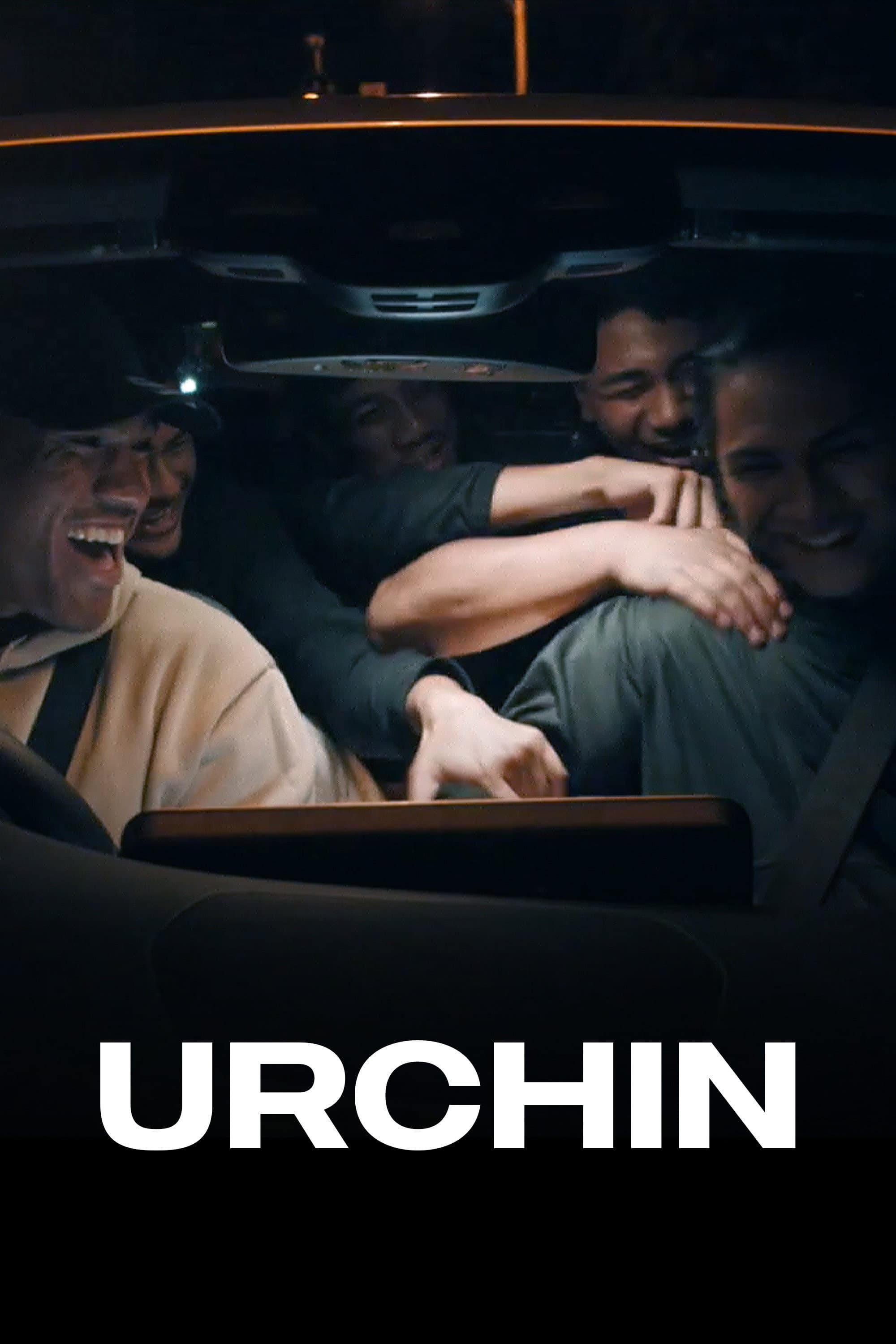 Urchin backdrop