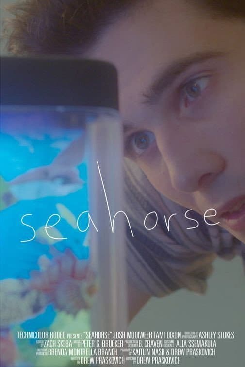 Seahorse backdrop