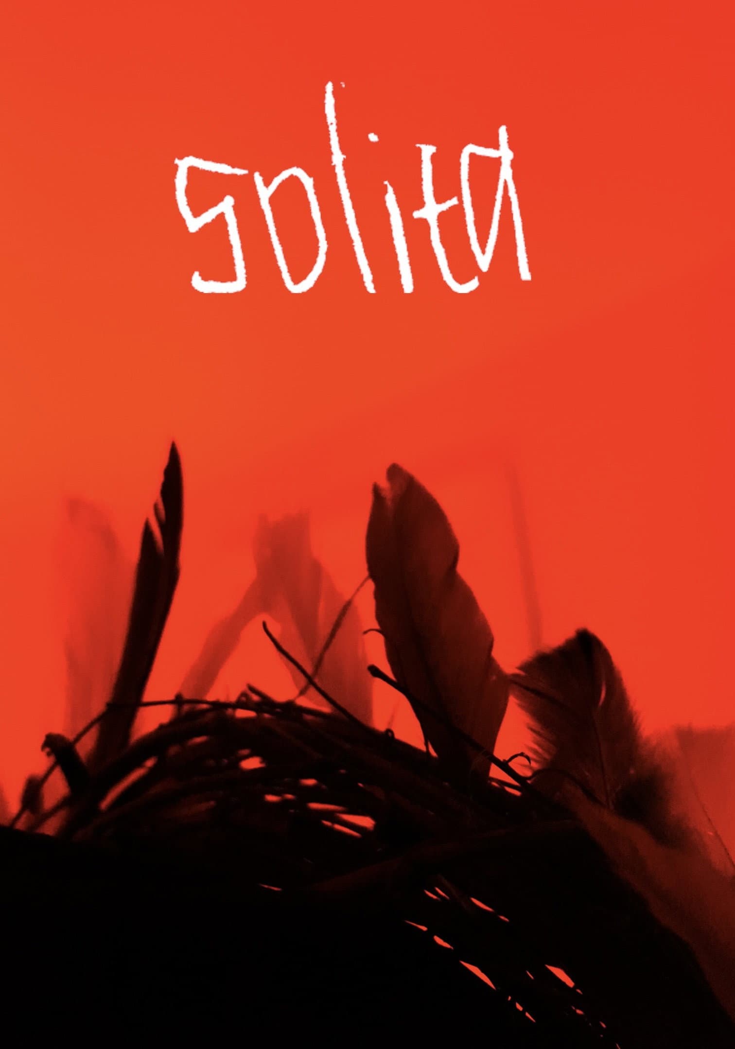 Solita backdrop