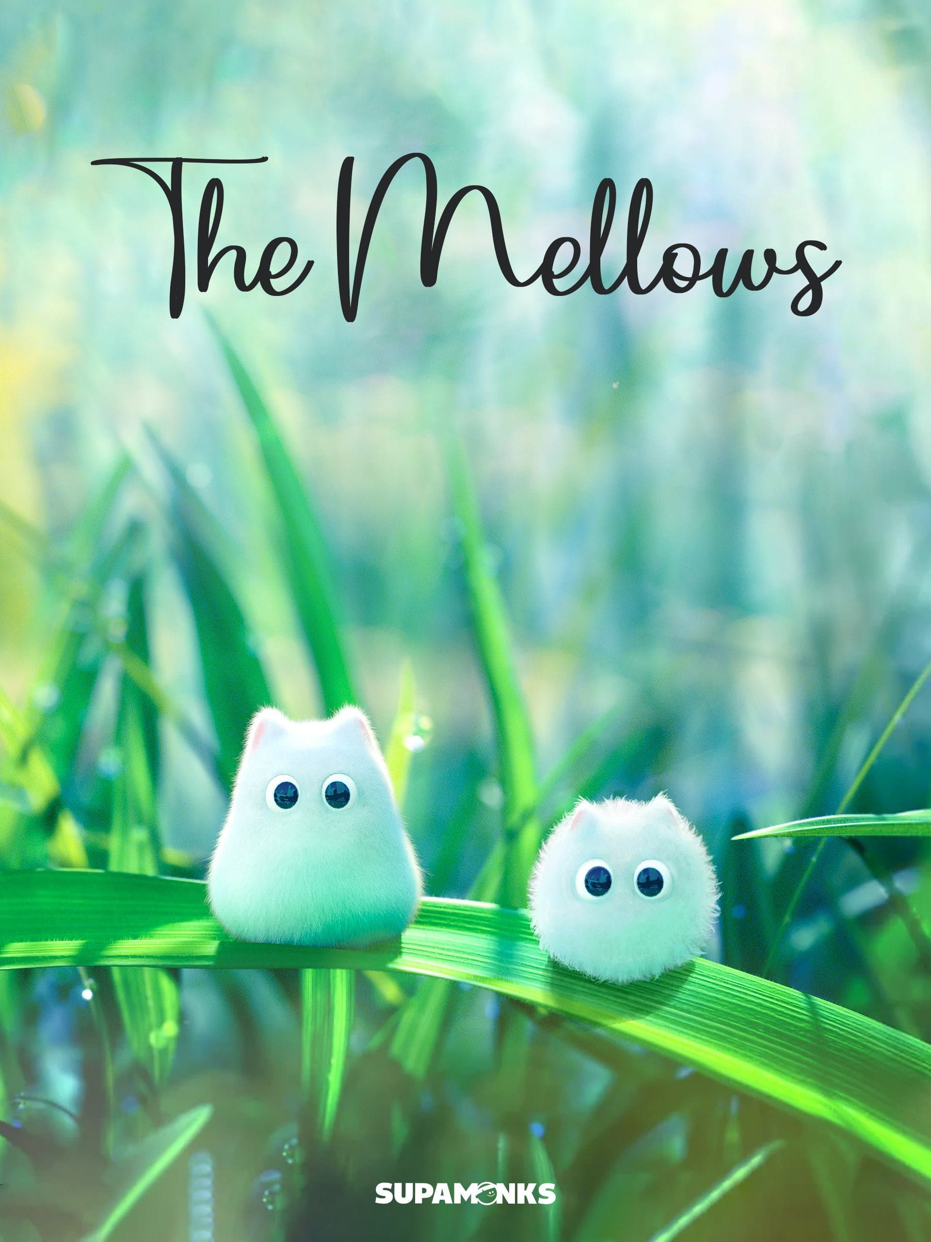 The Mellows backdrop