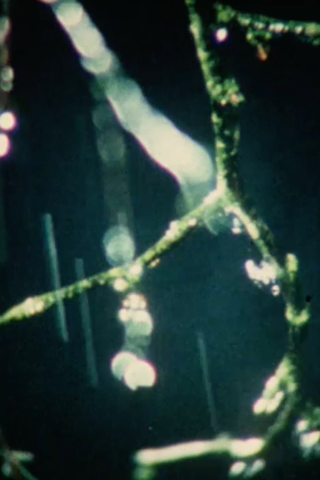 Trois études backdrop