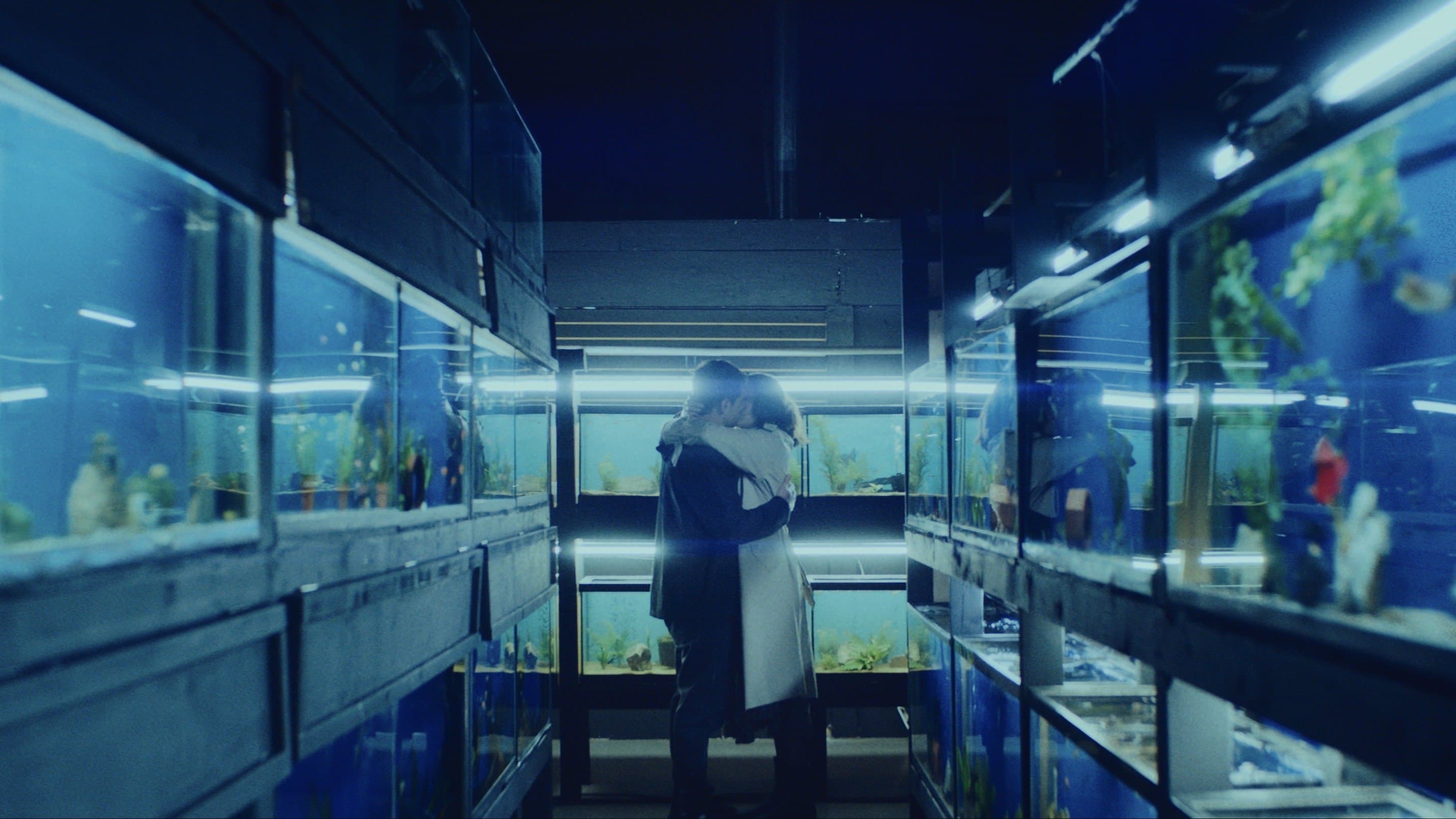 Little Fish backdrop