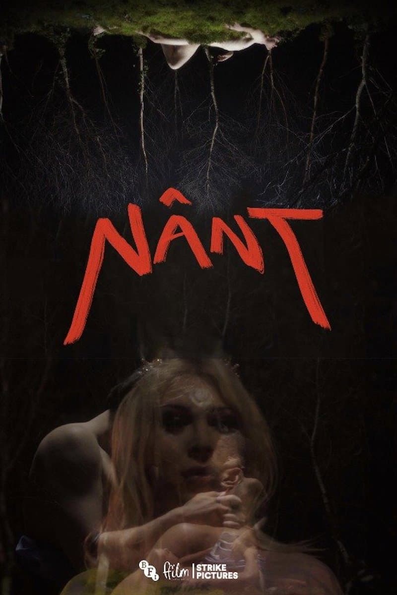 Nânt backdrop