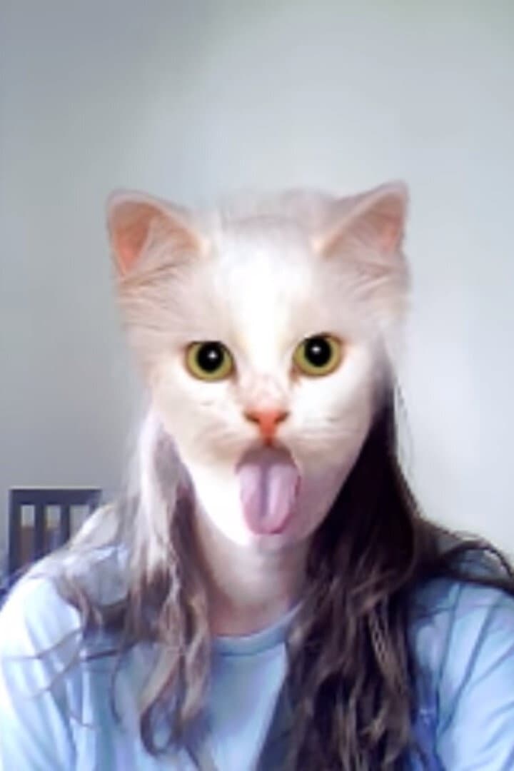 cats spirt spsit spit backdrop