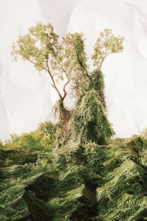Kudzu backdrop