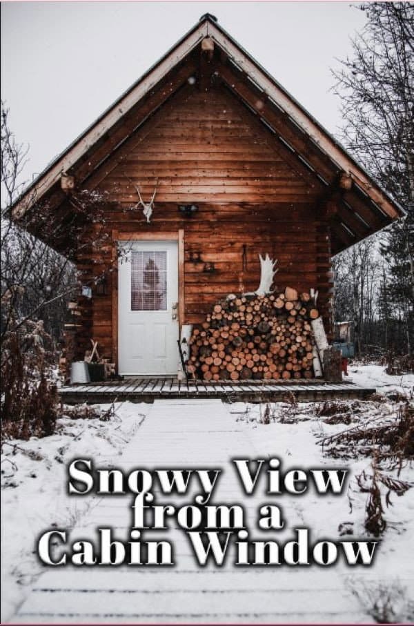 Snowy View from a Cabin Window backdrop