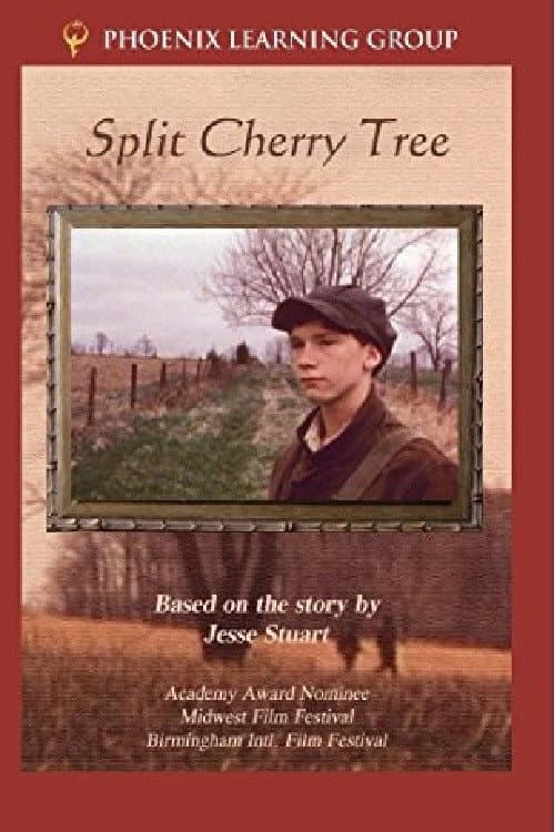 Split Cherry Tree backdrop