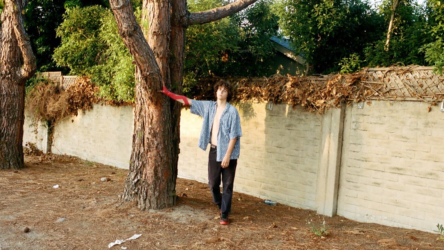 His Image backdrop