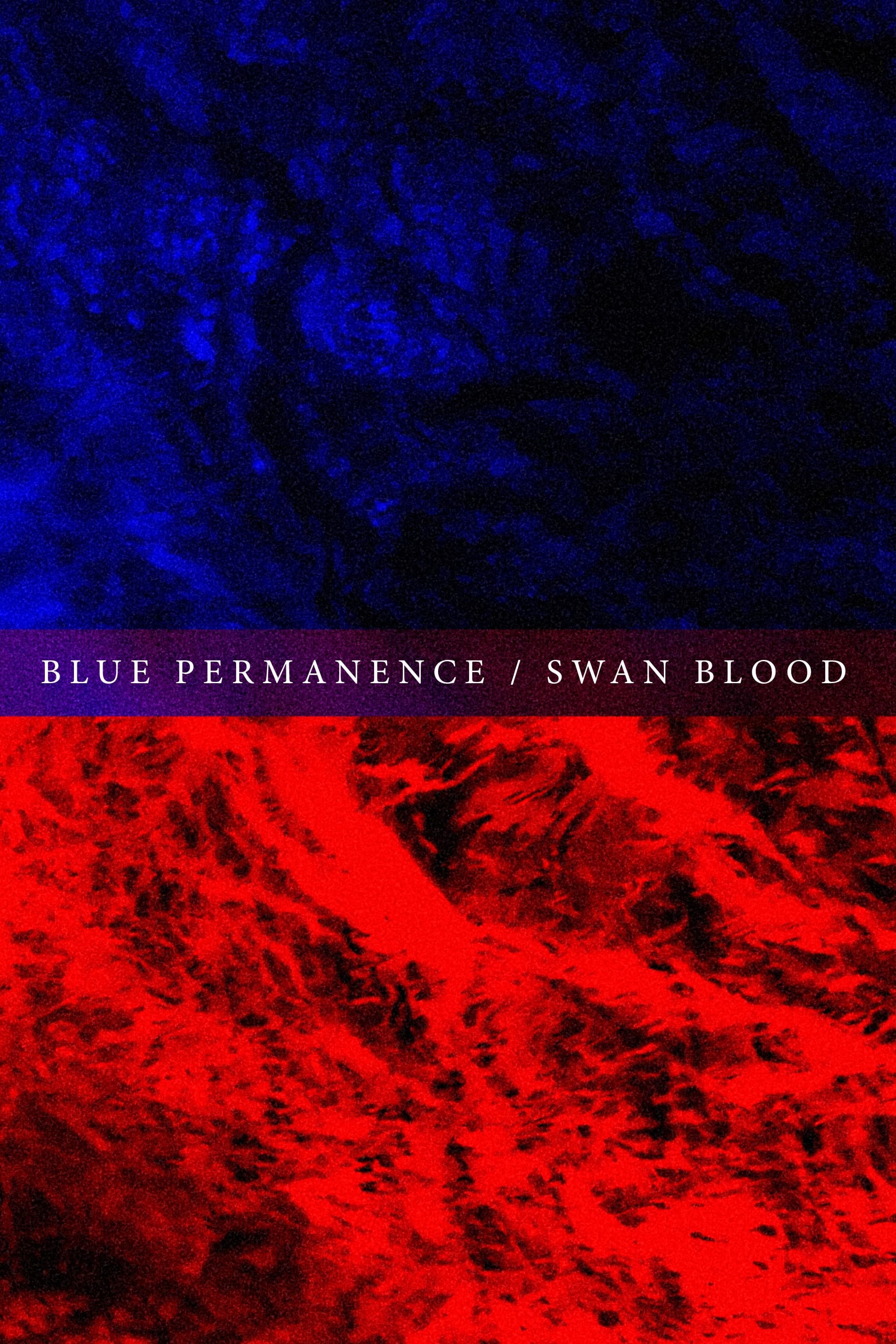 Blue Permanence / Swan Blood backdrop