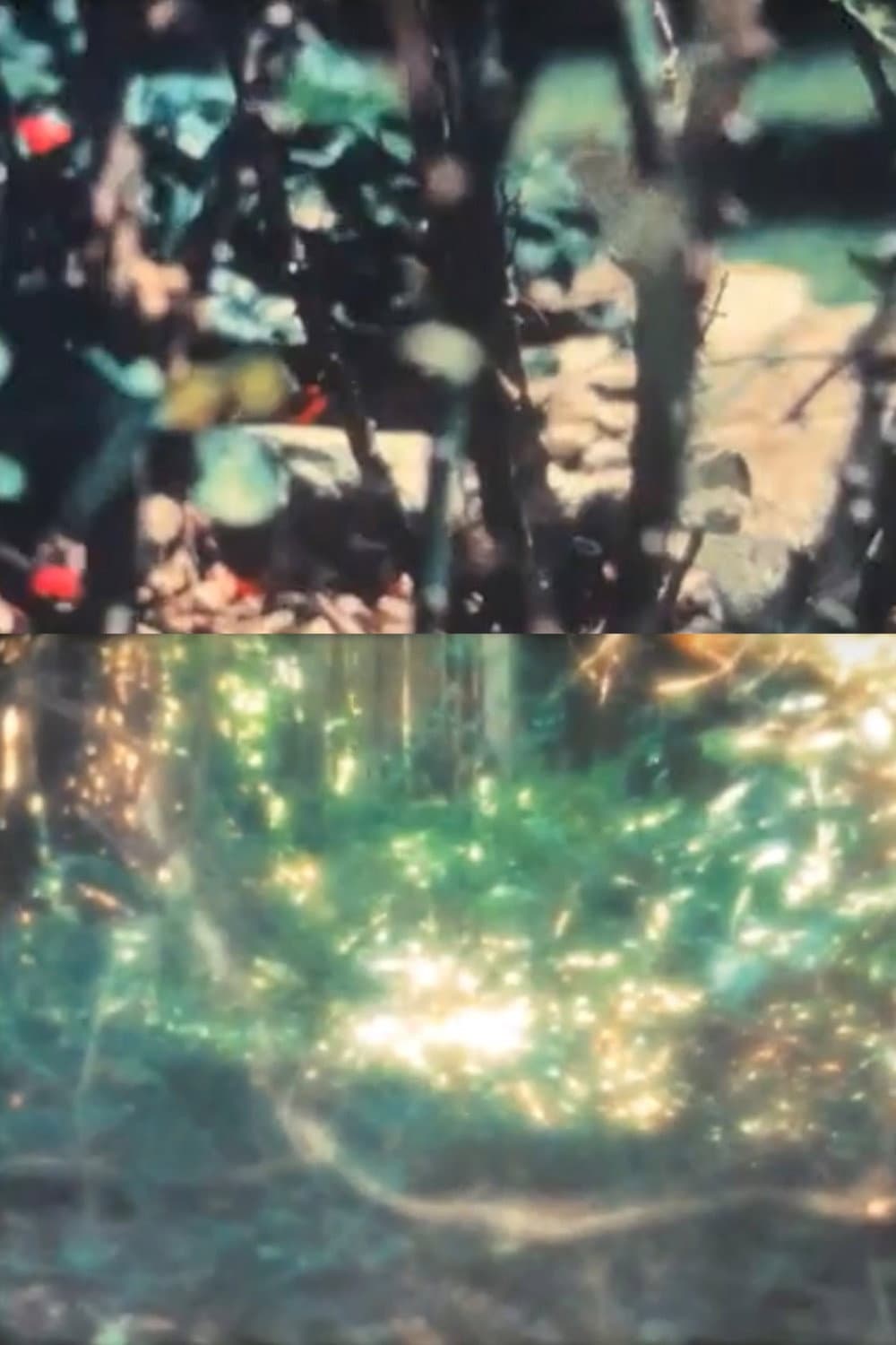 Reseeding Air backdrop