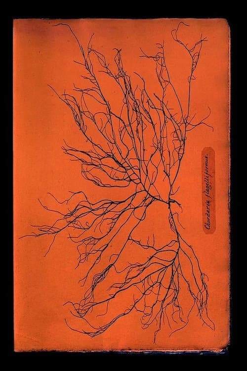 Ghost Protists backdrop