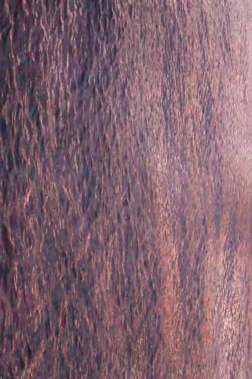 The Art Of The Capital backdrop