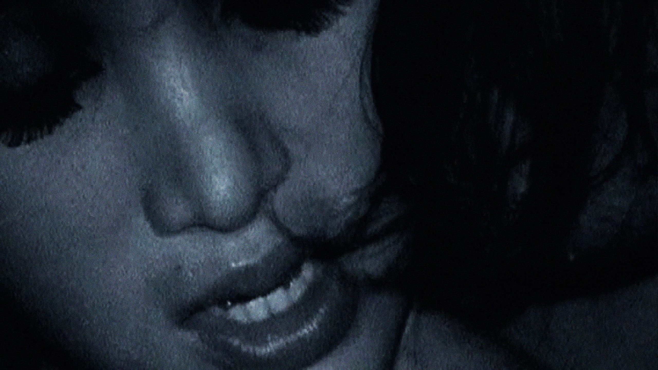 Destricted: We Fuck Alone backdrop