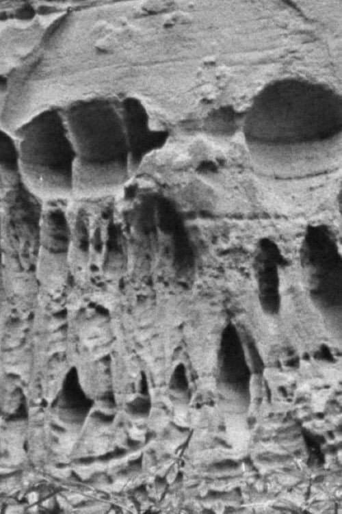 Ghost Strata backdrop