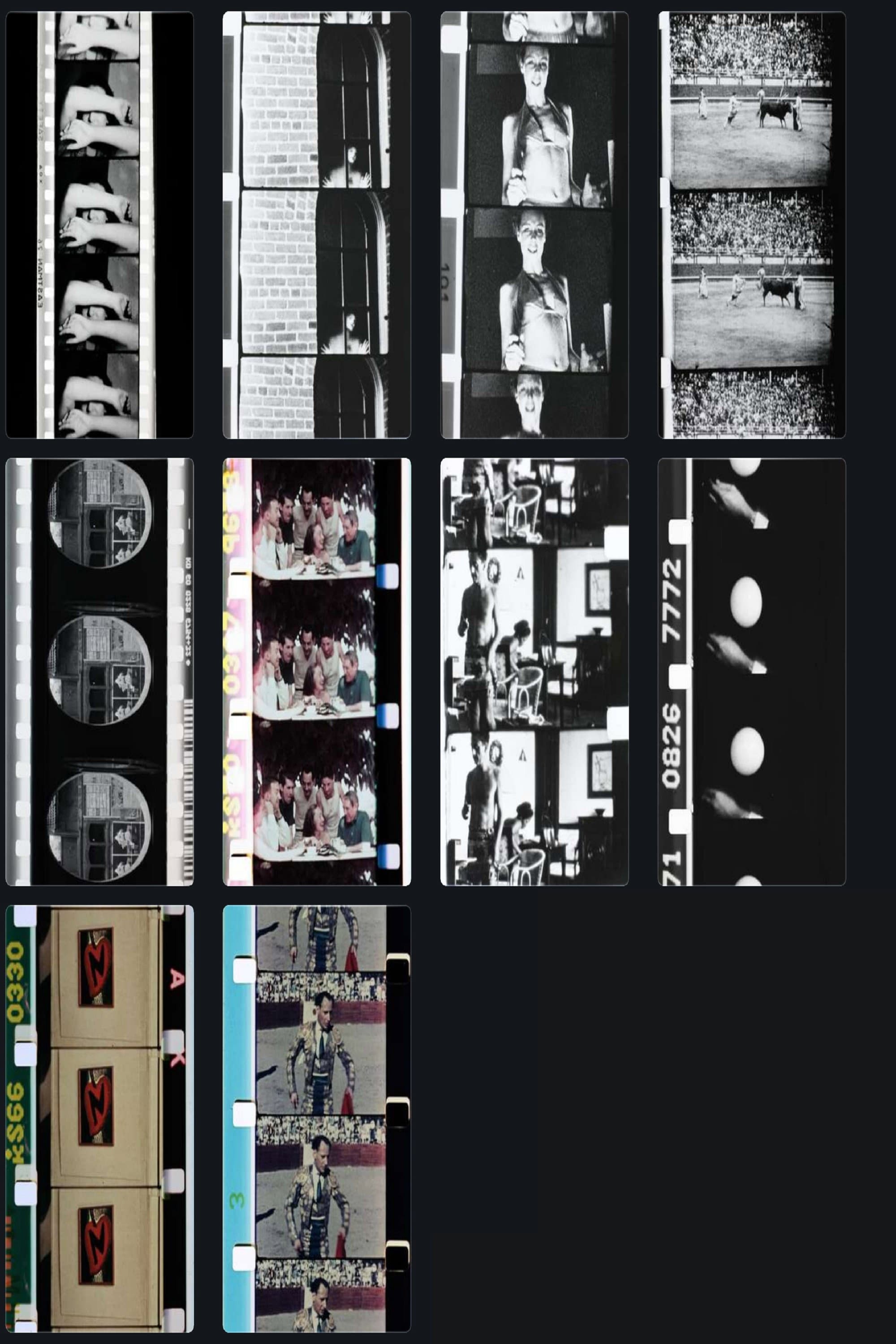 Home Movies backdrop