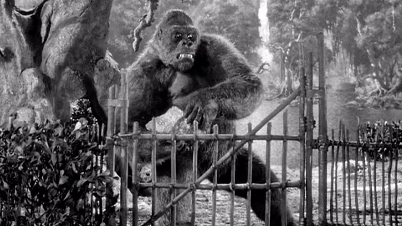 Mighty Joe Young backdrop