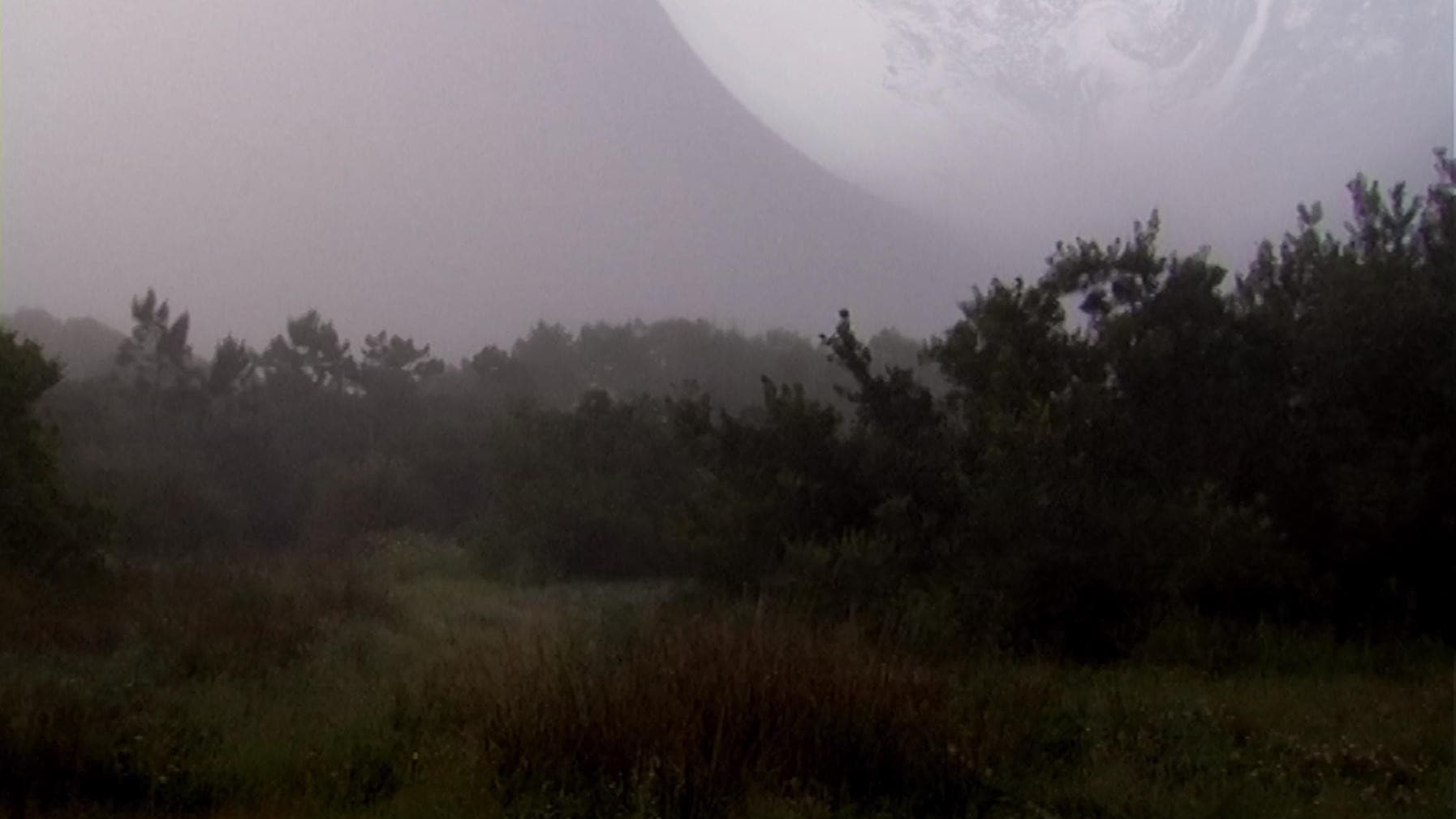 The Outer Space Forest backdrop
