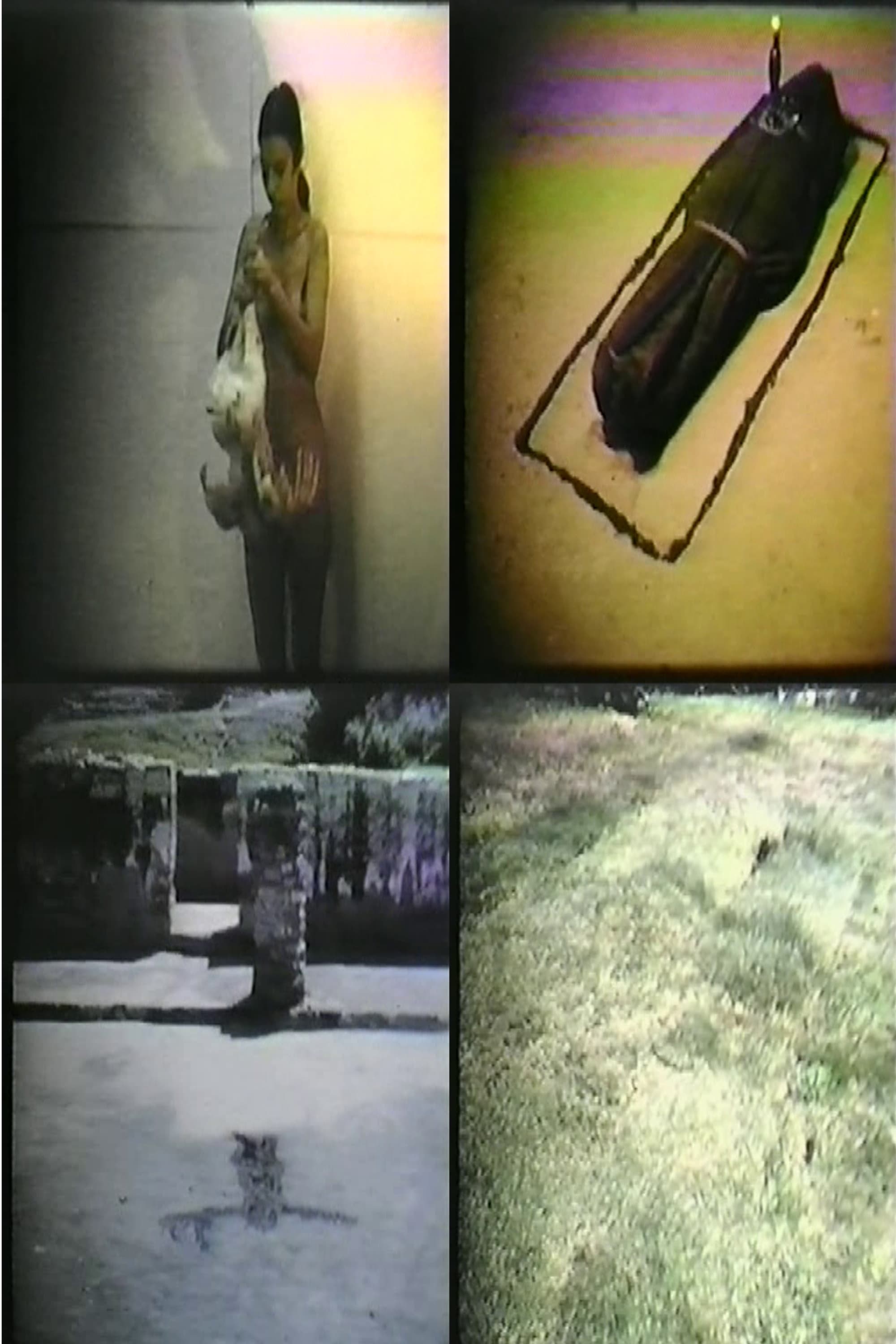 Ana Mendieta: Selected Film Works backdrop